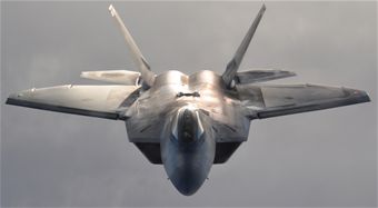Raptor in flight