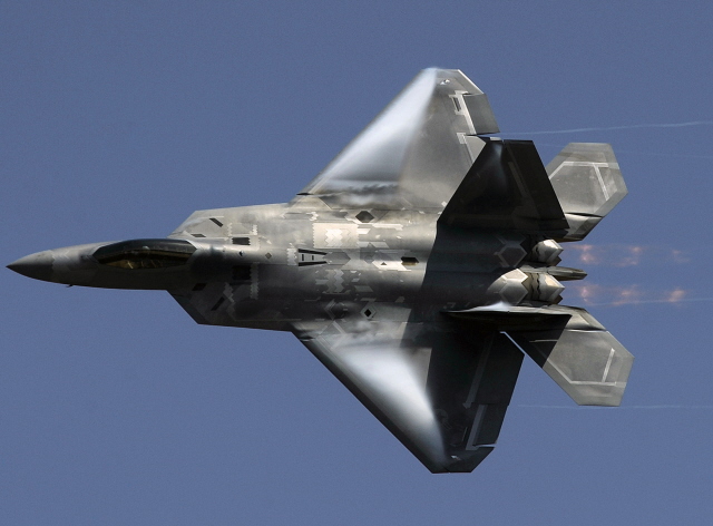 Air Show Raptor