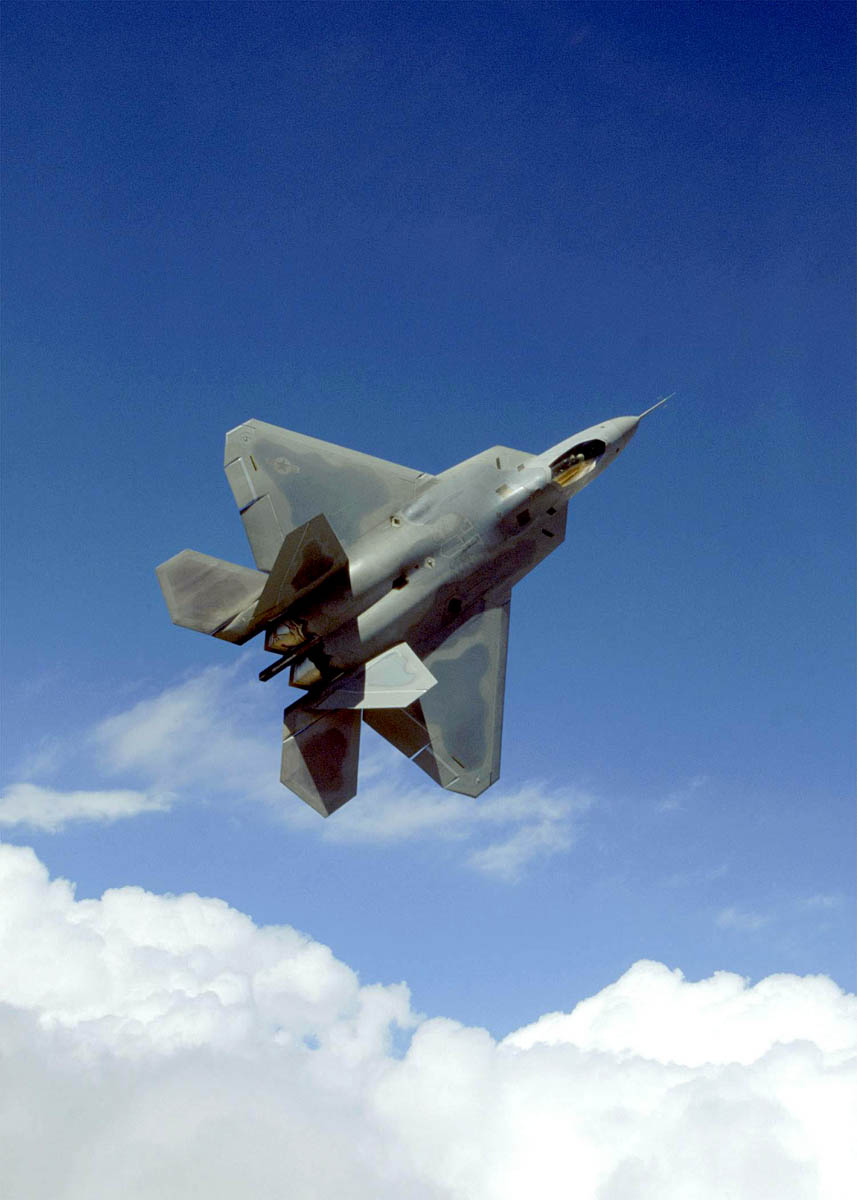 Raptor climbing