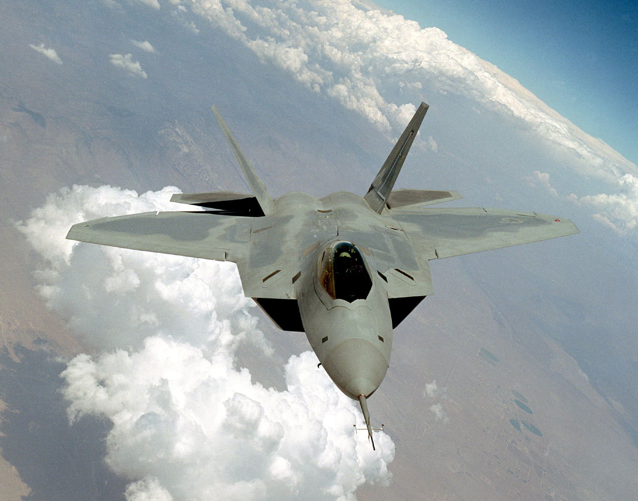 Raptor aloft